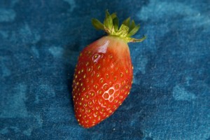 The First RED Strawberry!