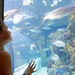 Lena at the Aquarium