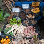 Random image: Mercado de Plantes Medicinales