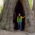 Random image: Lena inside a Redwood